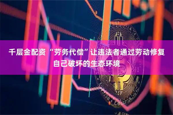 千层金配资 “劳务代偿”让违法者通过劳动修复自己破坏的生态环境