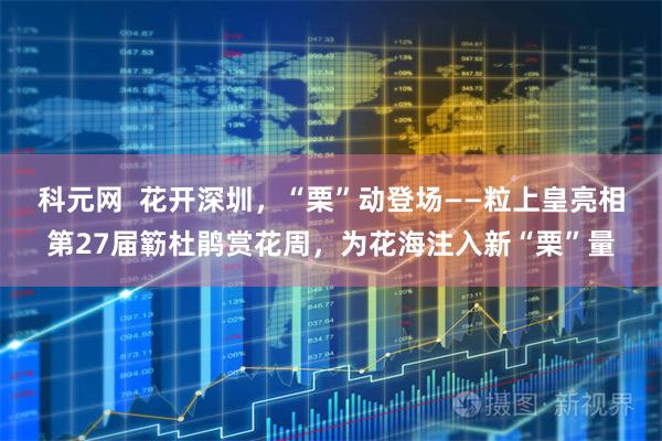 科元网  花开深圳，“栗”动登场——粒上皇亮相第27届簕杜鹃赏花周，为花海注入新“栗”量